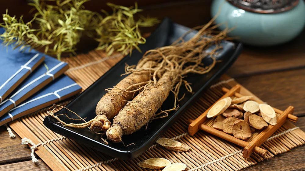 Panax Ginseng